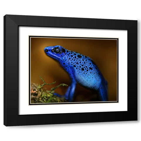 Bluetiful Black Modern Wood Framed Art Print with Double Matting by Heine, Ben