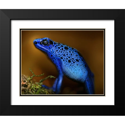 Bluetiful Black Modern Wood Framed Art Print with Double Matting by Heine, Ben