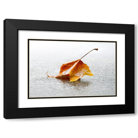 Crisp Black Modern Wood Framed Art Print with Double Matting by Heine, Ben