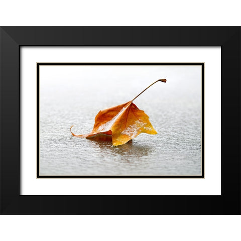 Crisp Black Modern Wood Framed Art Print with Double Matting by Heine, Ben