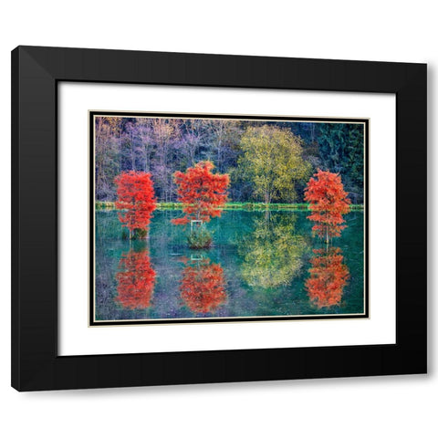 Autumn Black Modern Wood Framed Art Print with Double Matting by Heine, Ben
