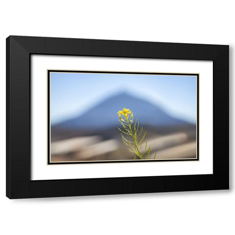 El Teide Black Modern Wood Framed Art Print with Double Matting by Heine, Ben