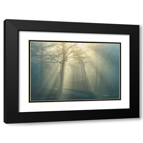 Forest Melody Black Modern Wood Framed Art Print with Double Matting by Heine, Ben