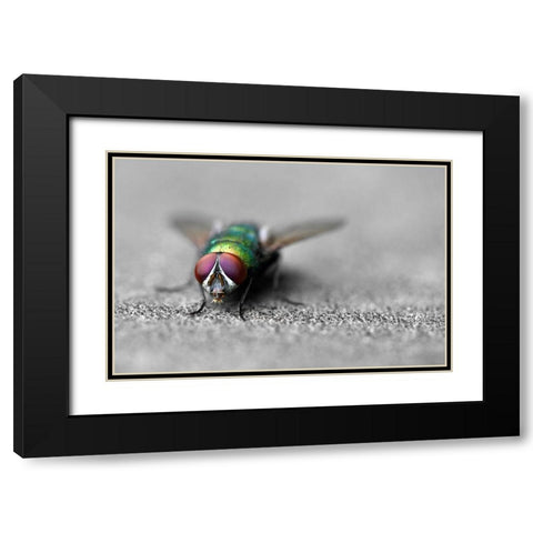 Hello Black Modern Wood Framed Art Print with Double Matting by Heine, Ben