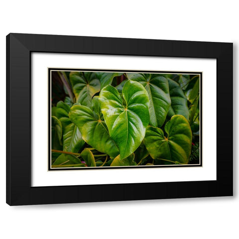 Goma 1 Black Modern Wood Framed Art Print with Double Matting by Heine, Ben