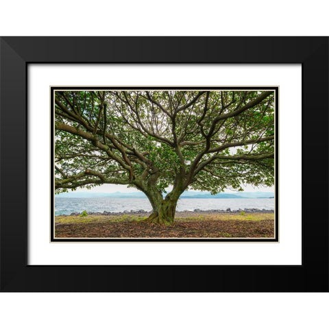 Goma 3 Black Modern Wood Framed Art Print with Double Matting by Heine, Ben