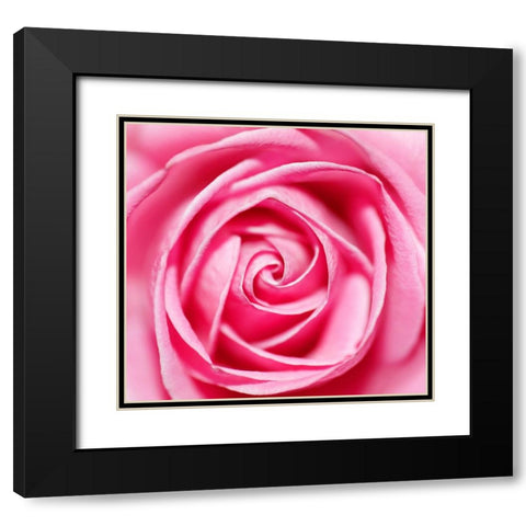 Petal by Petal Black Modern Wood Framed Art Print with Double Matting by Heine, Ben