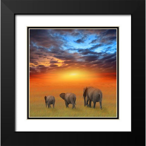 The Future is Bright Black Modern Wood Framed Art Print with Double Matting by Heine, Ben