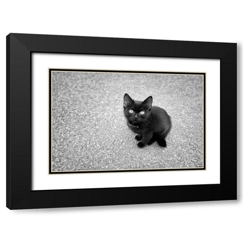 Just a Baby Black Modern Wood Framed Art Print with Double Matting by Heine, Ben