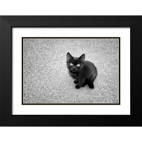 Just a Baby Black Modern Wood Framed Art Print with Double Matting by Heine, Ben