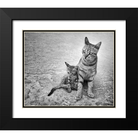 Never Leave Me Alone Black Modern Wood Framed Art Print with Double Matting by Heine, Ben