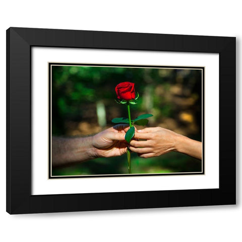 Red Union Black Modern Wood Framed Art Print with Double Matting by Heine, Ben