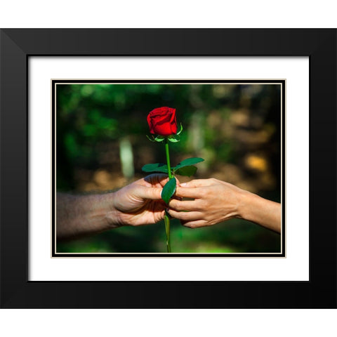 Red Union Black Modern Wood Framed Art Print with Double Matting by Heine, Ben