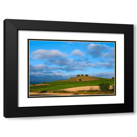 Santiago de Compostela pilgrimage - 6 Black Modern Wood Framed Art Print with Double Matting by Heine, Ben