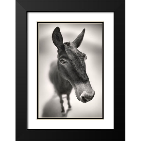 Talking to Me Black Modern Wood Framed Art Print with Double Matting by Heine, Ben