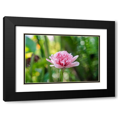 Thailand - 156 Black Modern Wood Framed Art Print with Double Matting by Heine, Ben