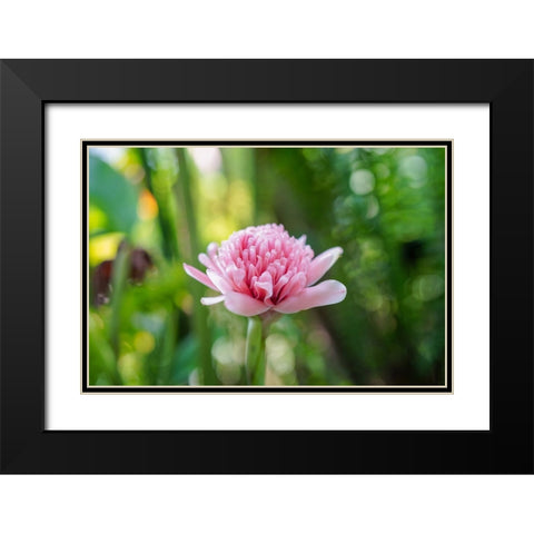 Thailand - 156 Black Modern Wood Framed Art Print with Double Matting by Heine, Ben