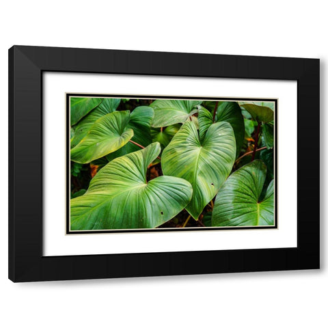 Thailand - 158 Black Modern Wood Framed Art Print with Double Matting by Heine, Ben
