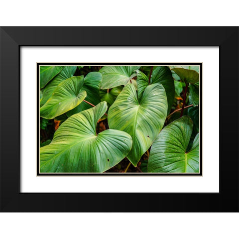 Thailand - 158 Black Modern Wood Framed Art Print with Double Matting by Heine, Ben