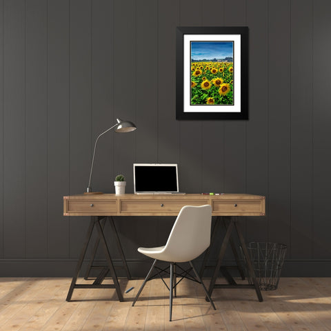 Turn your Face to the Sun Black Modern Wood Framed Art Print with Double Matting by Heine, Ben