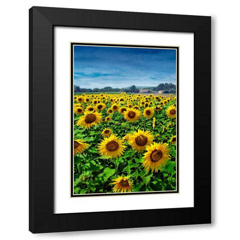 Turn your Face to the Sun Black Modern Wood Framed Art Print with Double Matting by Heine, Ben
