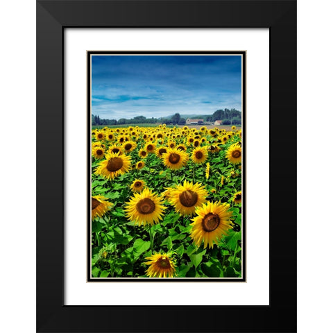 Turn your Face to the Sun Black Modern Wood Framed Art Print with Double Matting by Heine, Ben