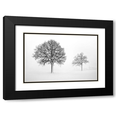 We Grow and Die Together Black Modern Wood Framed Art Print with Double Matting by Heine, Ben