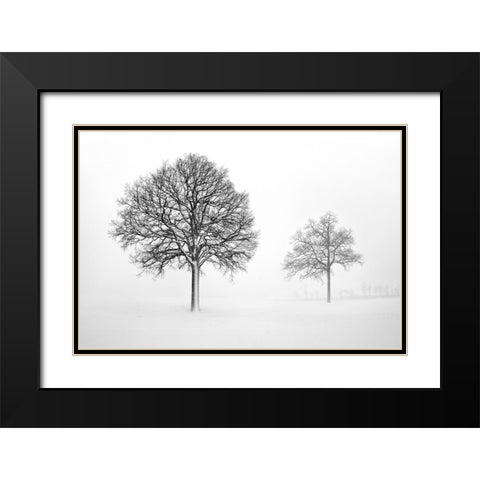We Grow and Die Together Black Modern Wood Framed Art Print with Double Matting by Heine, Ben