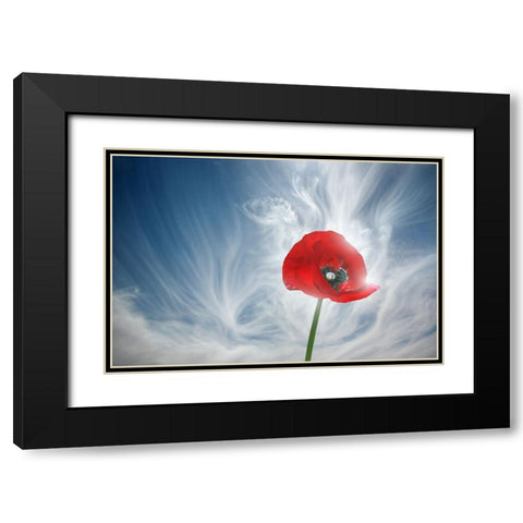 8 You Drive Me Crazy Black Modern Wood Framed Art Print with Double Matting by Heine, Ben