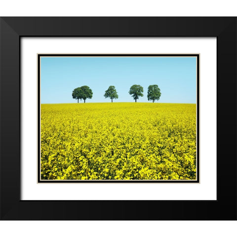 Brothers Black Modern Wood Framed Art Print with Double Matting by Heine, Ben