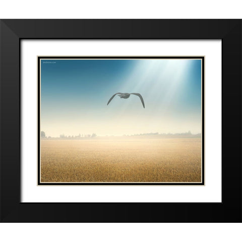 Freedom Start Here Black Modern Wood Framed Art Print with Double Matting by Heine, Ben