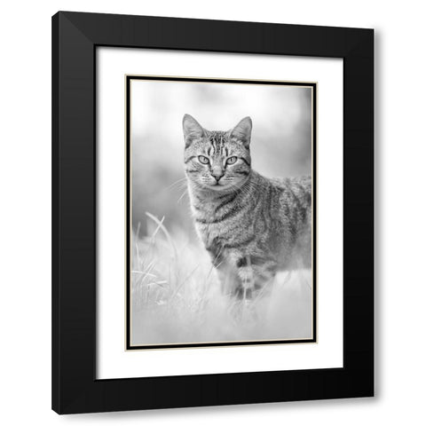 IMG_1426 Black Modern Wood Framed Art Print with Double Matting by Heine, Ben