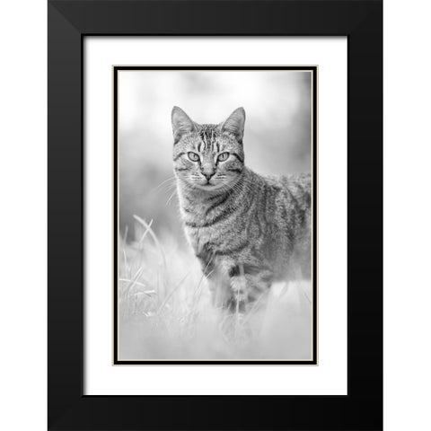 IMG_1426 Black Modern Wood Framed Art Print with Double Matting by Heine, Ben