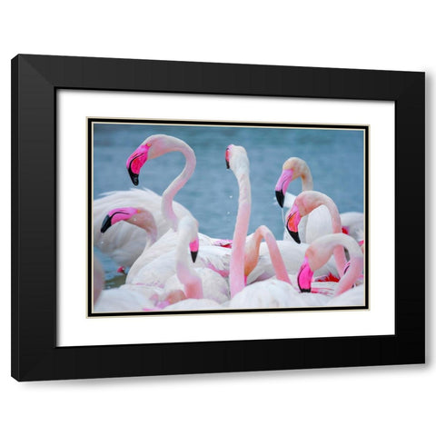 IMG_8897 Black Modern Wood Framed Art Print with Double Matting by Heine, Ben