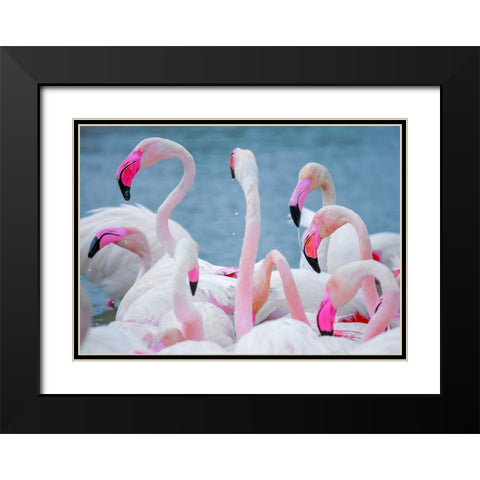 IMG_8897 Black Modern Wood Framed Art Print with Double Matting by Heine, Ben