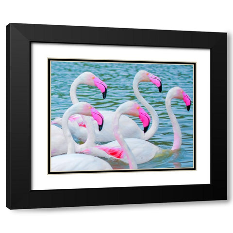 IMG_8905 Black Modern Wood Framed Art Print with Double Matting by Heine, Ben