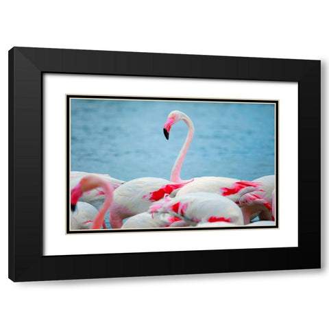IMG_8978 copy Black Modern Wood Framed Art Print with Double Matting by Heine, Ben