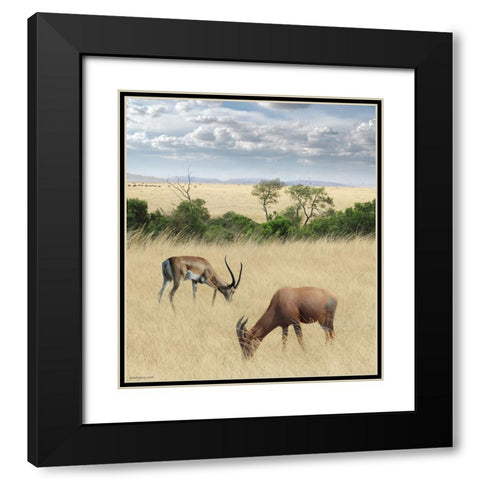 Kenya 2 Black Modern Wood Framed Art Print with Double Matting by Heine, Ben