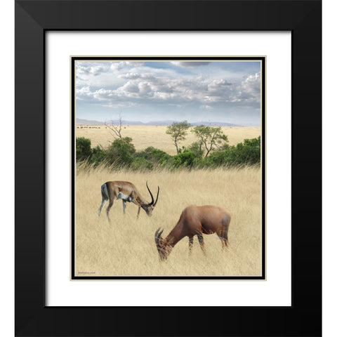 Kenya 2 Black Modern Wood Framed Art Print with Double Matting by Heine, Ben