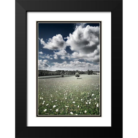 Meadow Black Modern Wood Framed Art Print with Double Matting by Heine, Ben