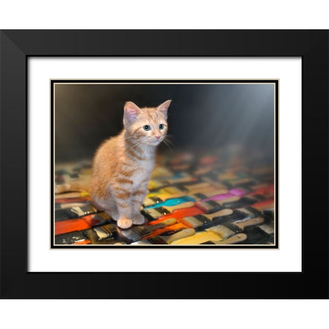 Missing You Black Modern Wood Framed Art Print with Double Matting by Heine, Ben