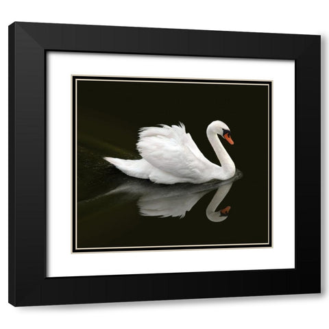Swan 1 Black Modern Wood Framed Art Print with Double Matting by Heine, Ben