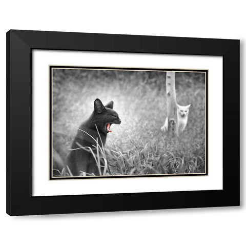 The Beauty and The Beast Black Modern Wood Framed Art Print with Double Matting by Heine, Ben