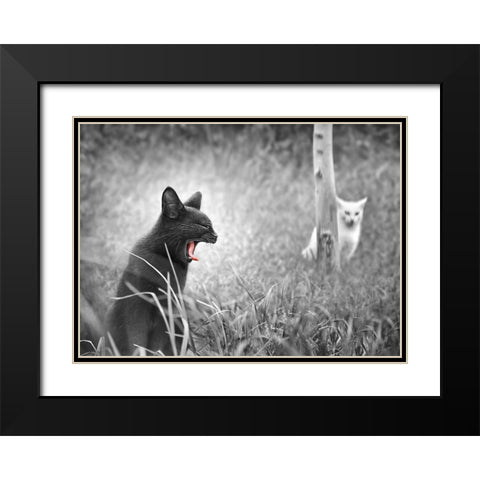 The Beauty and The Beast Black Modern Wood Framed Art Print with Double Matting by Heine, Ben