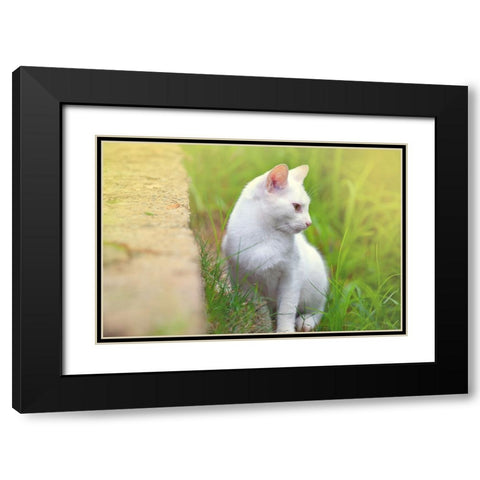 Tunisia 61 Black Modern Wood Framed Art Print with Double Matting by Heine, Ben