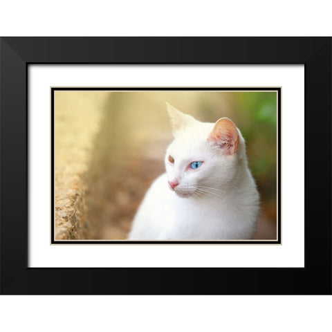 Tunisia 69 Black Modern Wood Framed Art Print with Double Matting by Heine, Ben