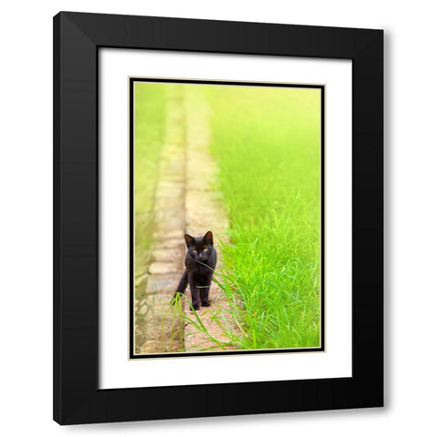Tunisia 76 Black Modern Wood Framed Art Print with Double Matting by Heine, Ben