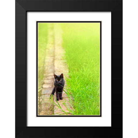 Tunisia 76 Black Modern Wood Framed Art Print with Double Matting by Heine, Ben
