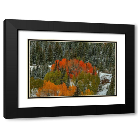 A Circle Of Color Black Modern Wood Framed Art Print with Double Matting by Sherrell, Bill