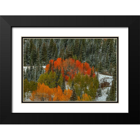 A Circle Of Color Black Modern Wood Framed Art Print with Double Matting by Sherrell, Bill